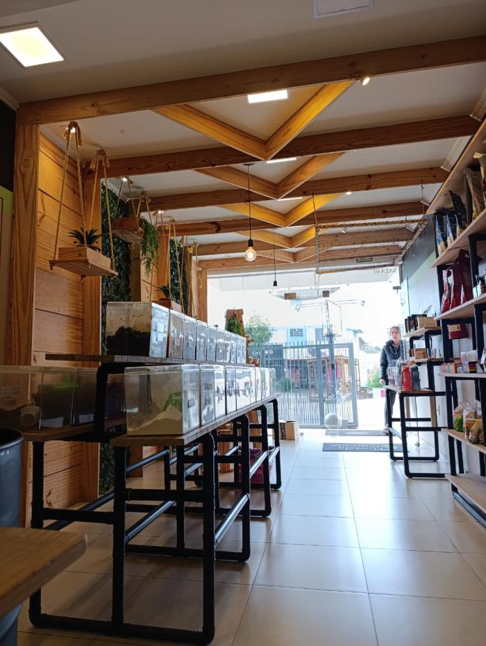 Hortelã pimenta - loja de produtos naturais