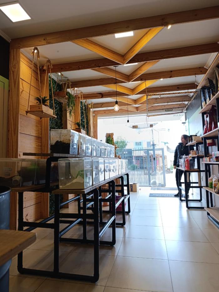 Hortelã pimenta - loja de produtos naturais