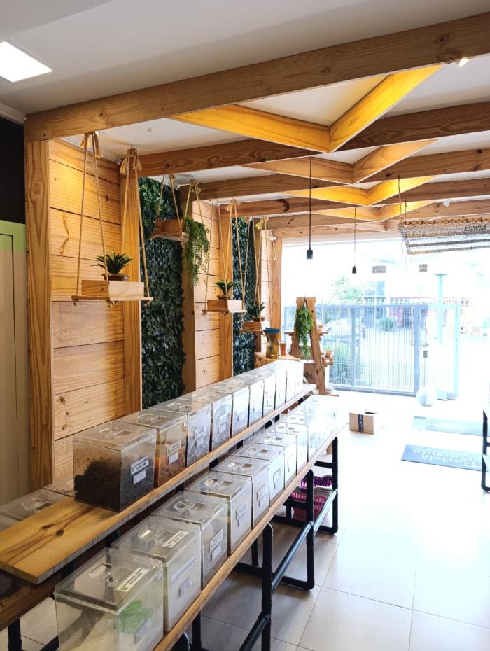 Hortelã pimenta - loja de produtos naturais