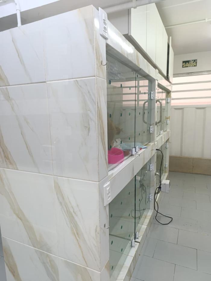 Hospital e clínica veterinária 