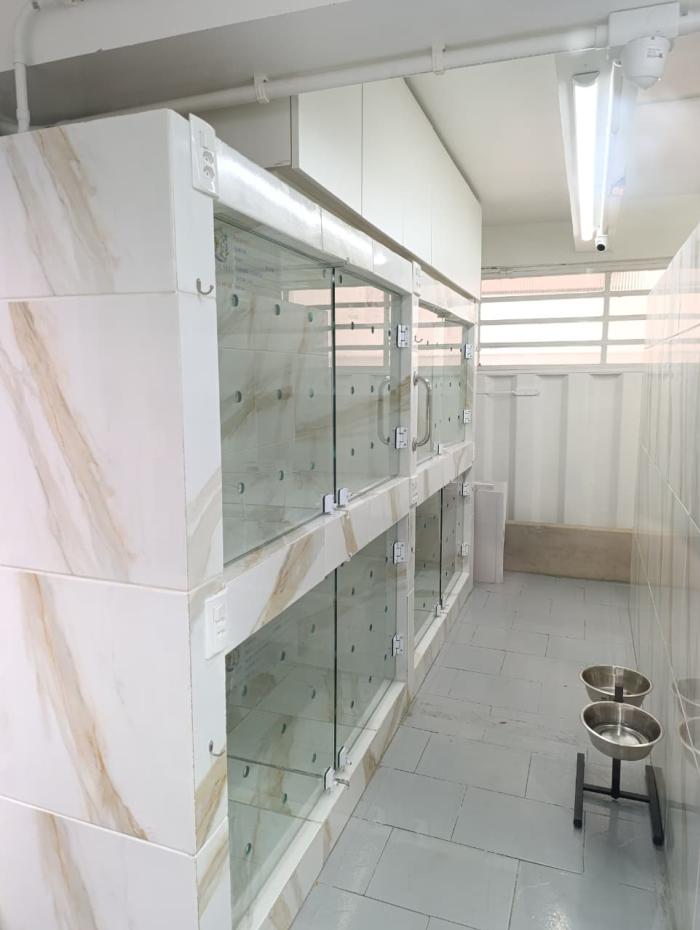 Hospital e clínica veterinária 
